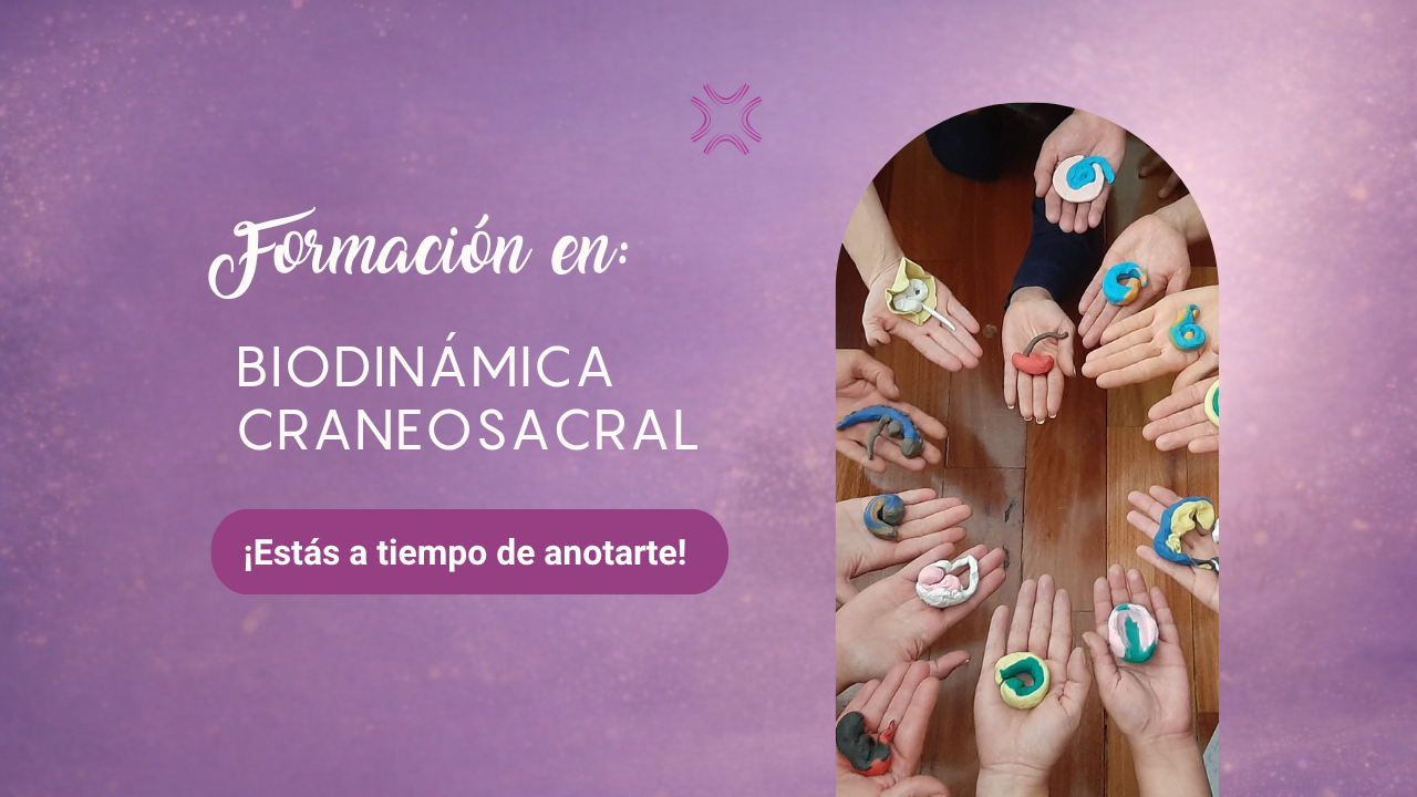 Formación en Biodinámica Craneosacral